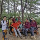 33산우회 제1101차 황령산 이미지