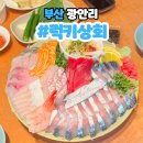 부산 광안리 횟집 추천 고등어회 럭키상회