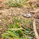 예사랑민박 이미지