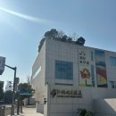 케이크미술관 | 상하이 동방명주탑 근처 “푸동 미술관” 고덕지도 주소, 가격, 포토존 공유
