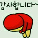 나무비 이미지