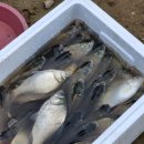 동아상사 이미지