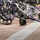 불스 떡볶이 광안점 | 오늘 이 기분을 잃지 않을게