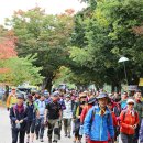 청송군민운동장 이미지