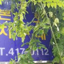 본오지구대 Daum카페