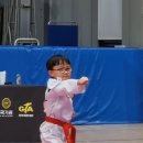 한국체대 중앙태권도 이미지