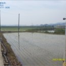 일우목장 이미지