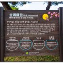 현풍곽씨십이정려각 | 달성 현풍곽씨십이정려각, 월계정, 추원당