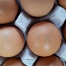 계림유통 이미지