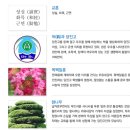당진고등학교 | (일반고) 당진고등학교 - 2024 신입생입학안내, 학교안내