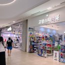 스타동물약국 | 고양 스타필드에서 고양이 심장사상충 예방약 캐치원 구매 후기