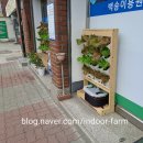 햇빛이용원