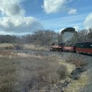 에코랜드 이미지