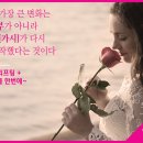 티아라성형외과 네이버블로그