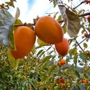 광려중학교 이미지