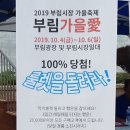 부림장갑 이미지