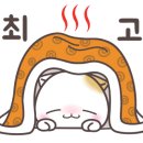 백슬동물병원