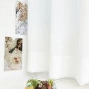 미니정원 | 전주 도우아트 공방 ' 발포세라믹 미니 정원' 원데이클래스 후기