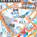 고령 멜빙축제 이미지