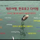 7월 3일 제주여행,판포 포구 다이빙, 판포포구 수영, 곽지 용천수 탐방 후기 이미지