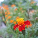 스마트보청기 청각언어센터 이미지