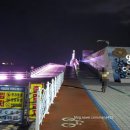 대길카정비 | 여수 오동도 차로 가는길 일출명소 여수 바다 오동도 유래 산책 해돋이 추천