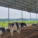 진덕농장 이미지