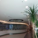 알리르마리산후조리원 이미지