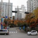 청학e-조은약국 이미지