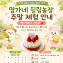 명가네힐링농장 | 서산 아이체험 여기 찐이에요🍓 딸기케이크 만들기 + 농장 힐링까지!