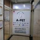 에이펫(A-PET) 이미지