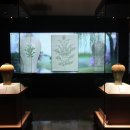 국립해양문화재연구소 태안해양유물전시관 이미지