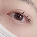 퍼스트시티(소담동) | 세종시 속눈썹 추천 소담동 꽃이피는순간 래쉬&amp;네일 1:1 맞춤형 속눈썹펌 후기
