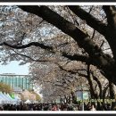 여의서로 이미지