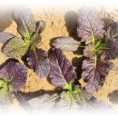 용진가정의학과의원 이미지