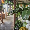 (주)썸데이로맨스 | 대전 브런치 카페 세이브존 썸데이로맨스