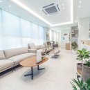 버클리치과의원 이미지