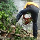 백운 119 안전센터 이미지