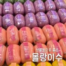 떡과 디저트 | 수원 스타필드 팝업 몰랑이수 선물하기 좋은 떡 디저트 솔직 후기