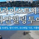 주식회사 힐링투어 - 제주시 | 주식회사 힐링투어