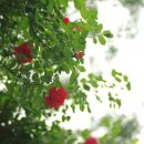 오늘의 찬 이미지