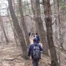 간대산 등산로 이미지