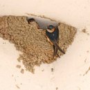 원주시장애인종합복지관 이미지