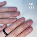 NAIL530
