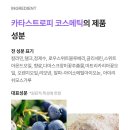 카라스페이스 이미지