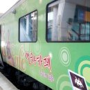 용문산야생화마을 이미지