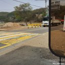 원택농장 | 양주 유기견보호소(동물학대방지연합) 봉사활동 후기