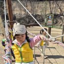 대흥동 유아숲체험원 이미지