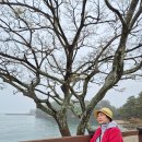 소노벨 변산 티스토리