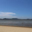 카우스톨 이미지